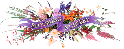 Blooming Nursery