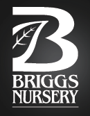 Briggs Nursery