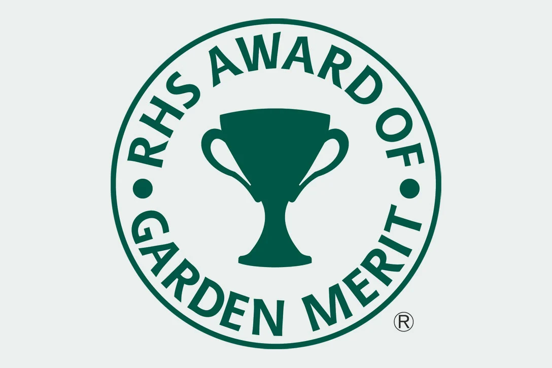 RHS Award of Garden Merit 2024 