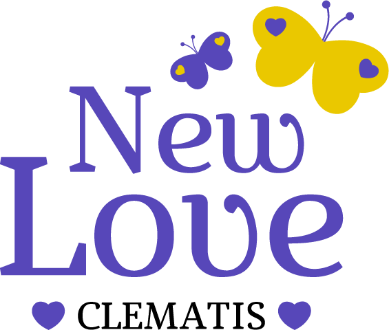logo-clematis-new-love-pp13-977