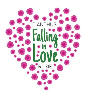 logo-dianthus-falling-in-love-rosie-pg-072-pp32-474