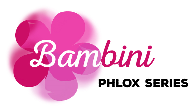 logo-phlox-paniculata-bambini-primadonna-verpri-pp29-976