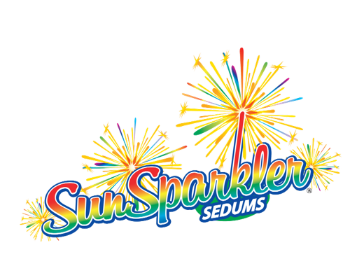 logo-sedum-sunsparkler-wildfire-pp28-621