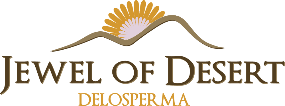 logo-delosperma-jewel-of-desert-opal-dsab13-1-pp27-056