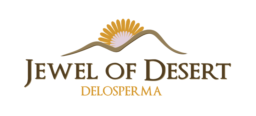 logo-delosperma-jewel-of-desert-sunstone-de18-152-pp30-294