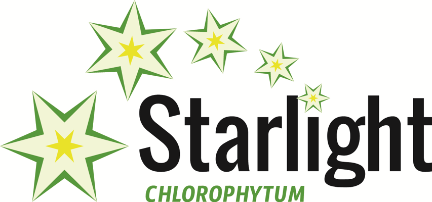 logo-chlorophytum-saundersiae-starlight-pp28-477
