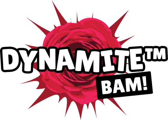 logo-rosa-dynamite-bam-geus-4310-pp29-088